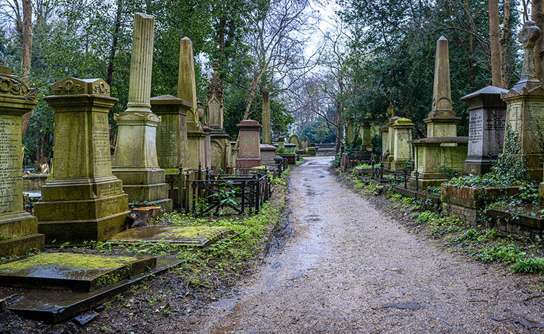 Highgate Cemetery image