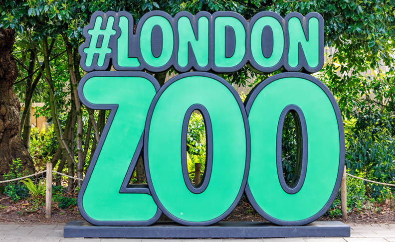 London Zoo image