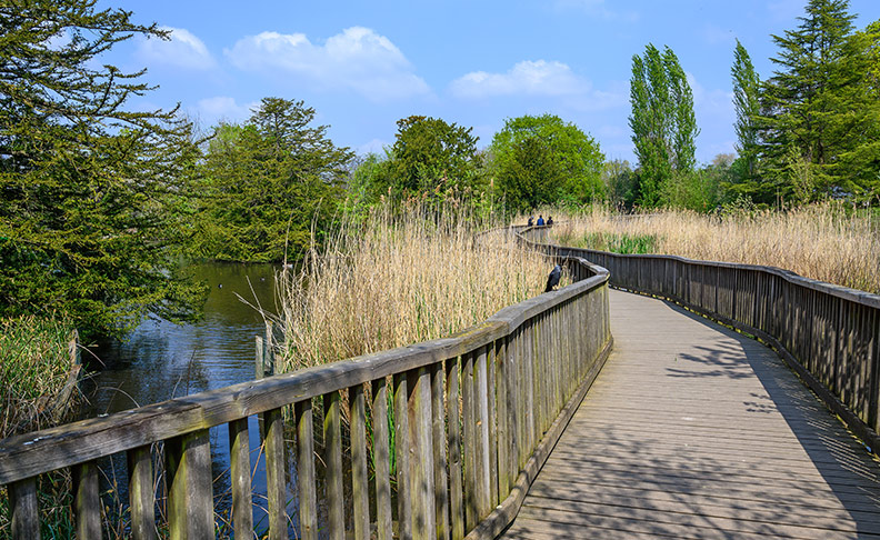 Dulwich Park image