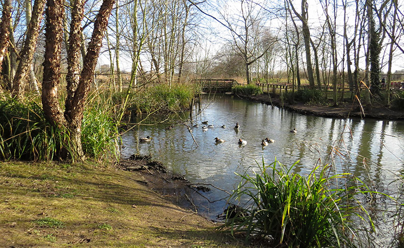 Darlands Nature Reserve image