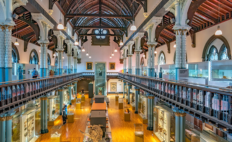 The Hunterian Museum image