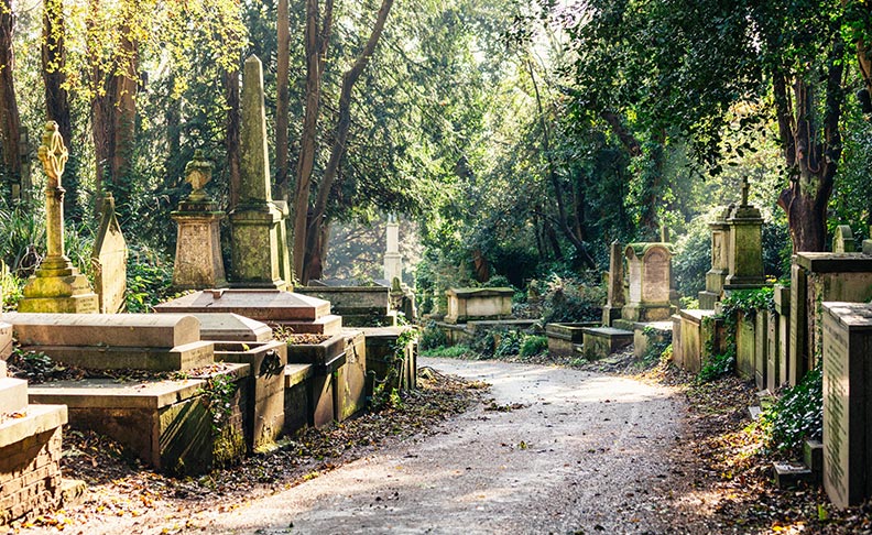 Highgate Cemetery image