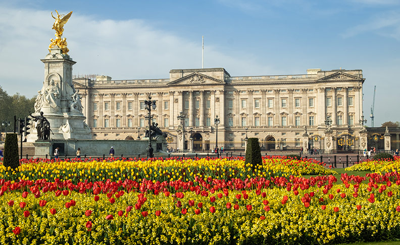 Buckingham Palace image