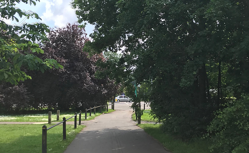 Tooting Common image