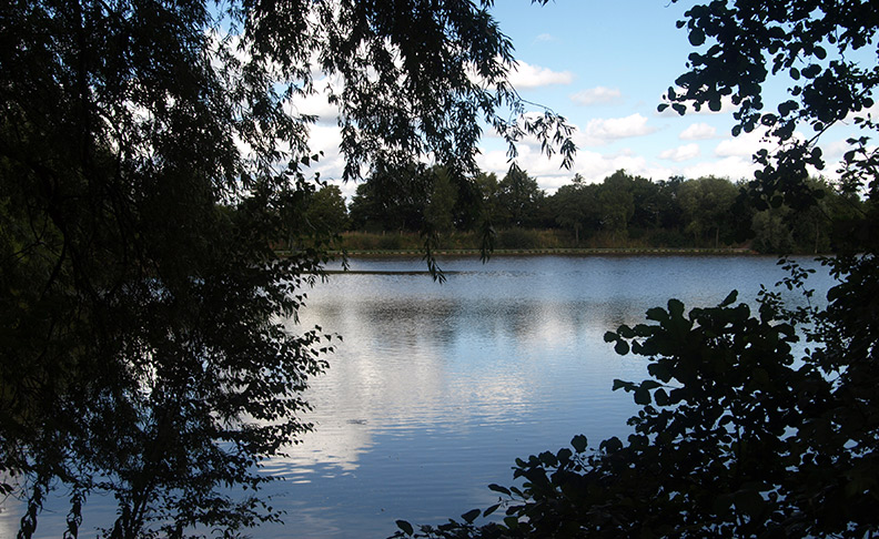 Black Park Country Park image