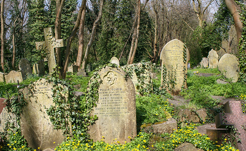 Highgate Cemetery image