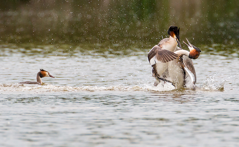 Eastbrookend Country Park image