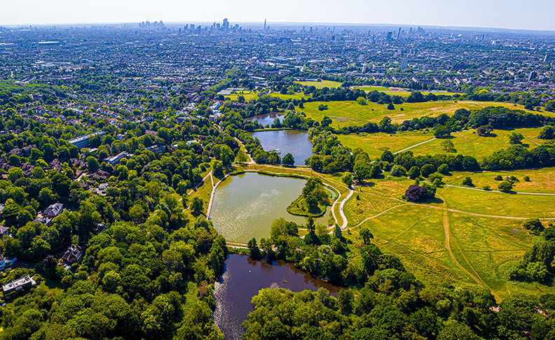 Hampstead Heath image