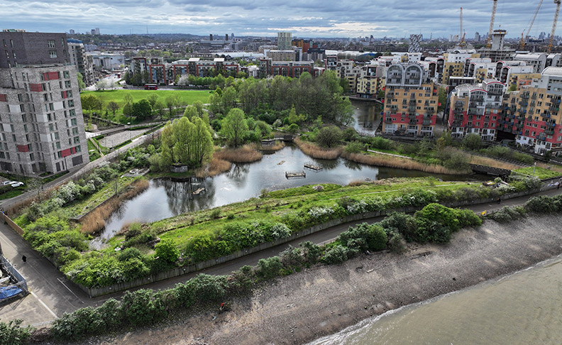 Greenwich Peninsula Ecology Park image