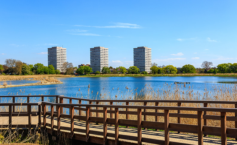 Woodberry Wetlands image