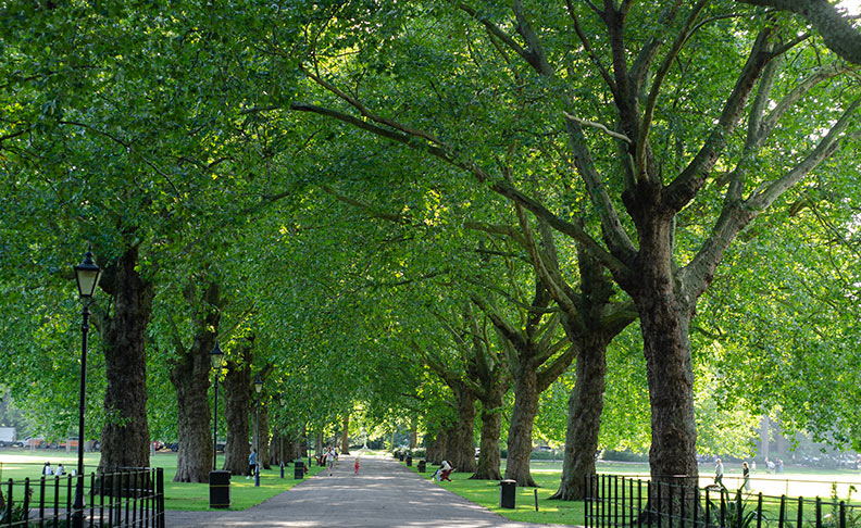 Holloway Park	 image