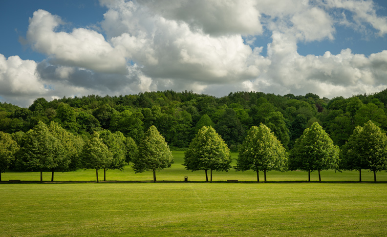 Priory Park image