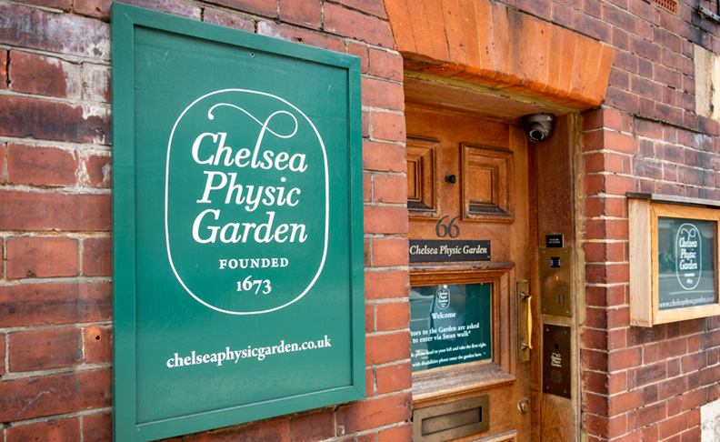 Chelsea Physic Garden image