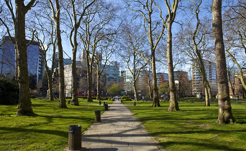 Paddington Green image