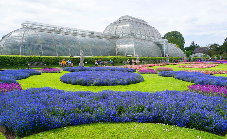 Royal Botanic Gardens, Kew image