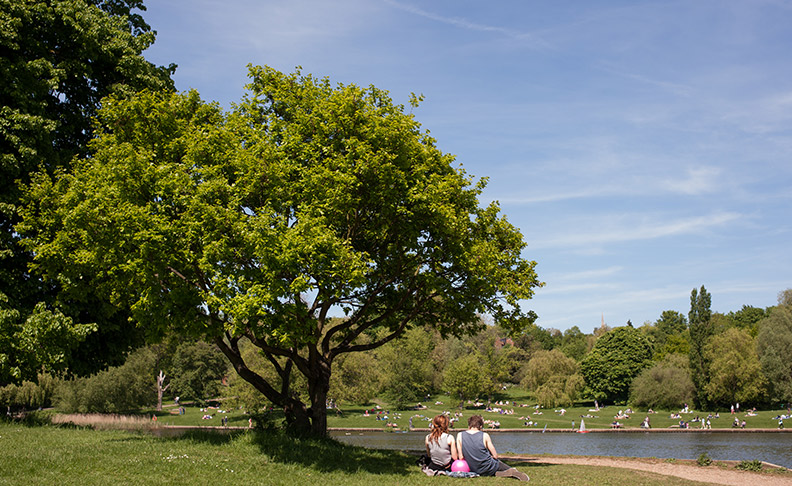 Hampstead Heath image