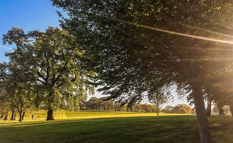 Gladstone Park image