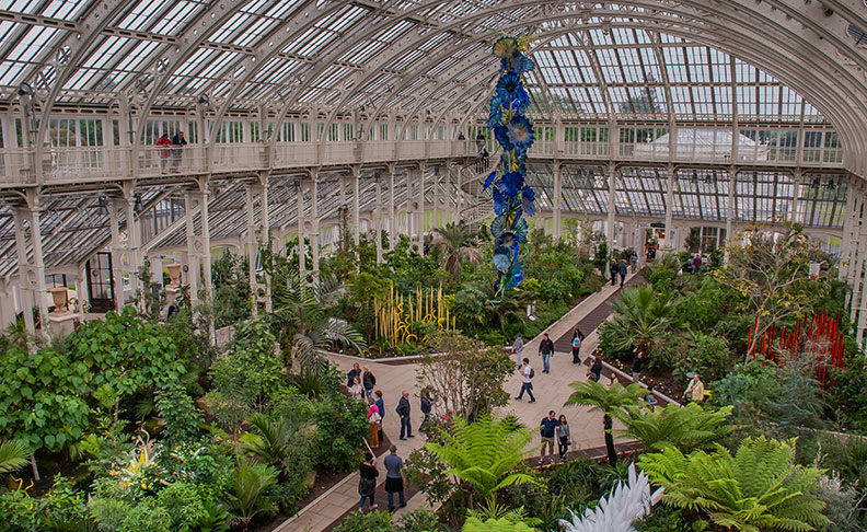 The Palm House image