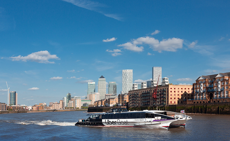 Putney Pier image