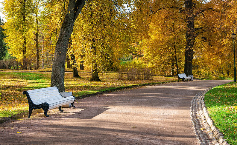 Parsloes Park image