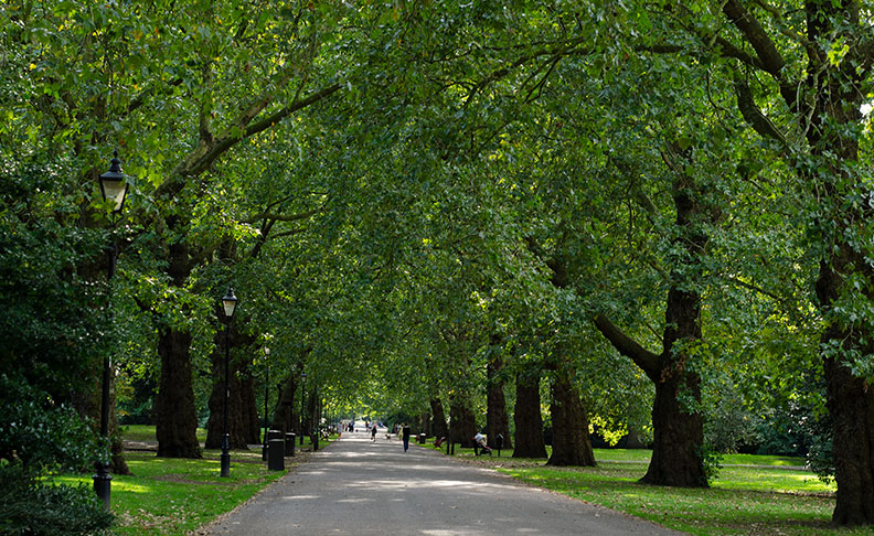 Wandsworth Park image