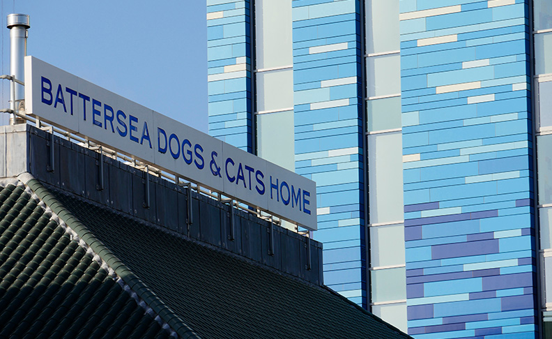 Battersea Dogs & Cats Home image