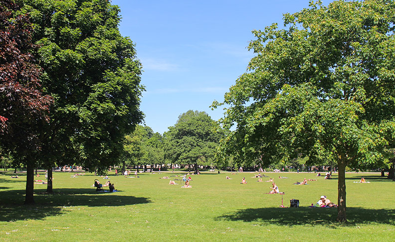 Barra Hall Park image