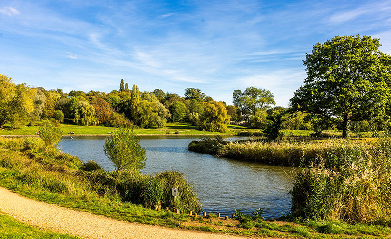 Hampstead Heath image