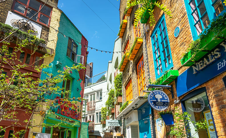 Neal's Yard image