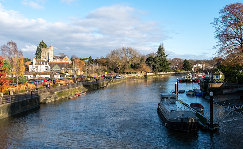 Eel Pie Island image