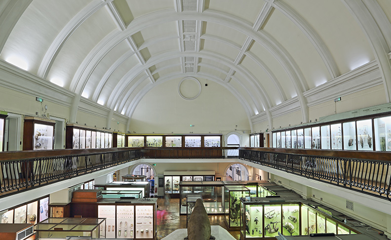 Horniman Museum and Gardens image