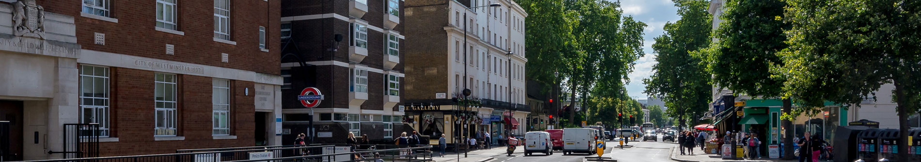 Pimlico area view