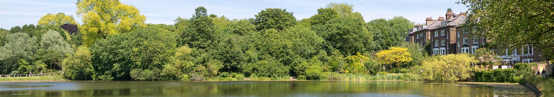 Hampstead area view