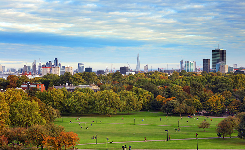 Primrose Hill area view