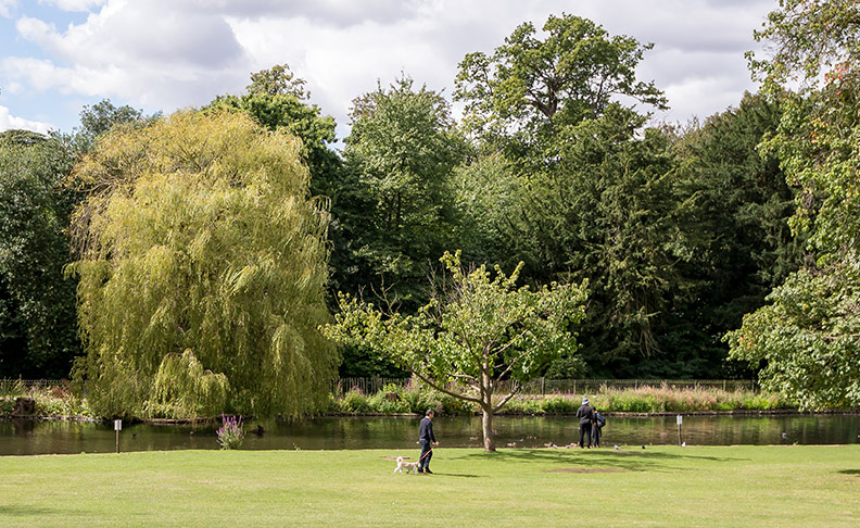 Chiswick area view