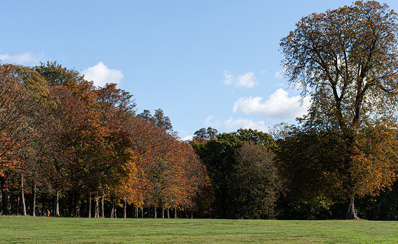 Cassiobury Park 