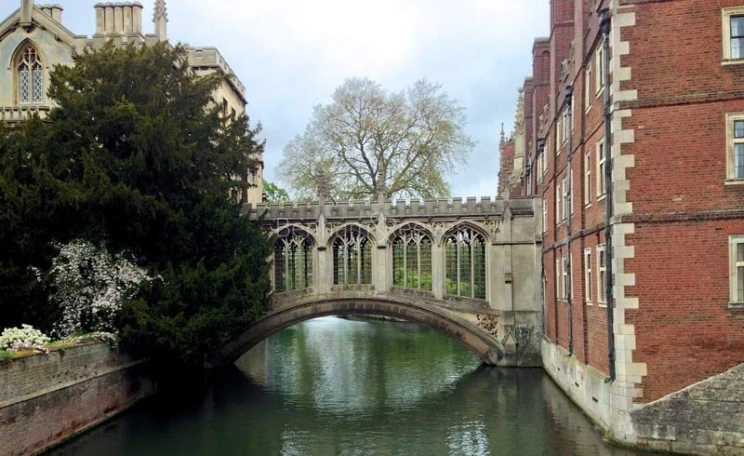 Cambridge Area Guide - Image 3