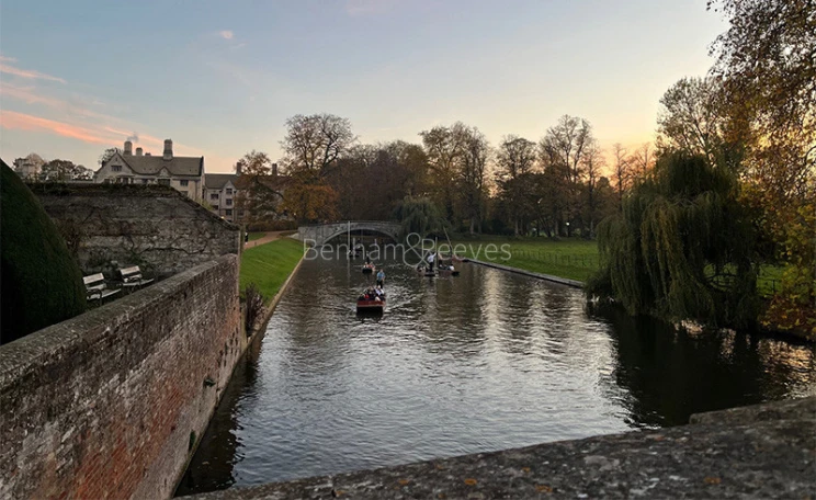 Cambridge Area Guide - Image 6