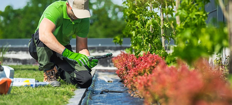 Garden maintenance