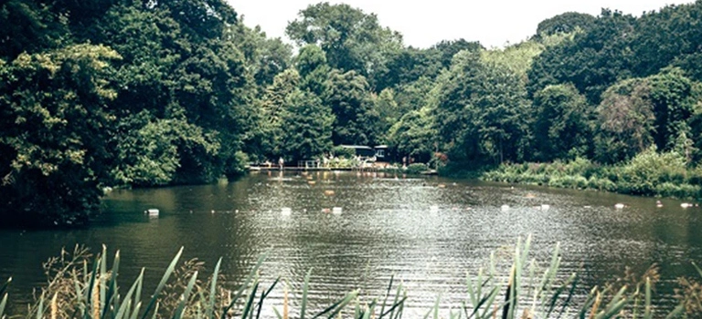 Highgate Ponds